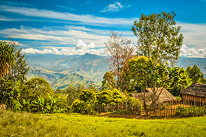 Papua New Guinea